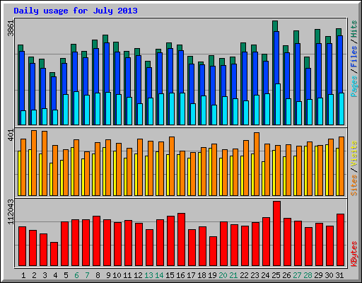 Daily usage for July 2013