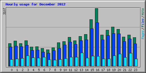 Hourly usage for December 2012