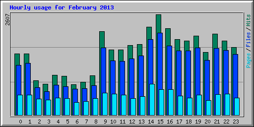 Hourly usage for February 2013