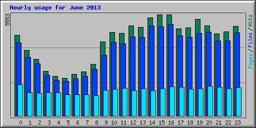 Hourly usage for June 2013
