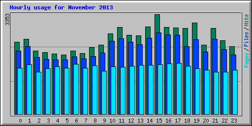 Hourly usage for November 2013