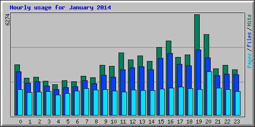 Hourly usage for January 2014
