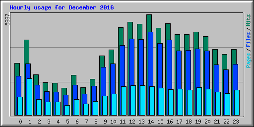 Hourly usage for December 2016